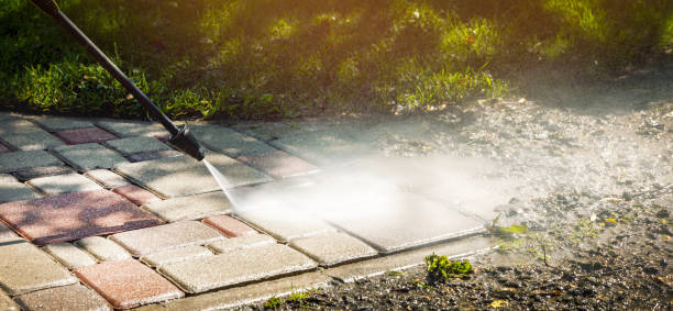 Best Dumpster Area Cleaning  in Plainview, NY